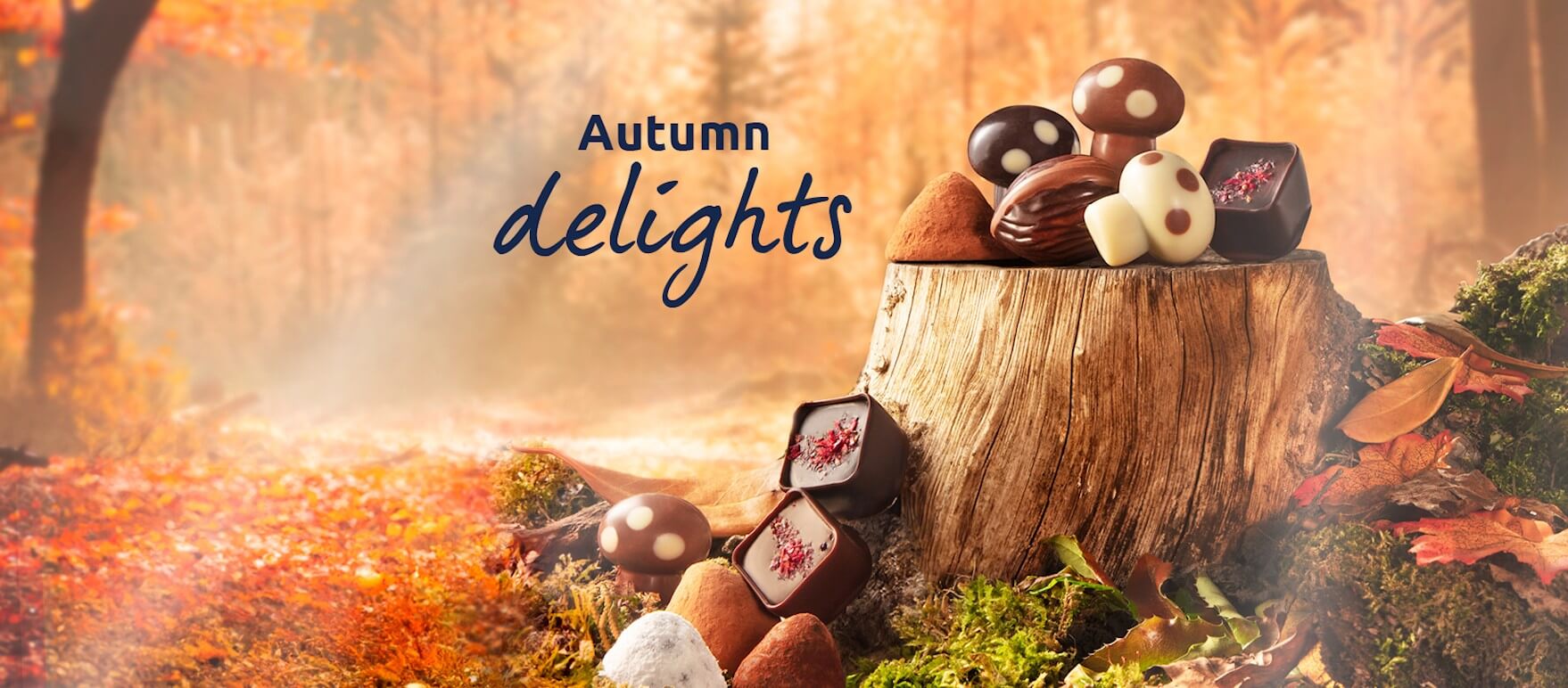 Facebook_cover_automne_M_1758_EN(1)